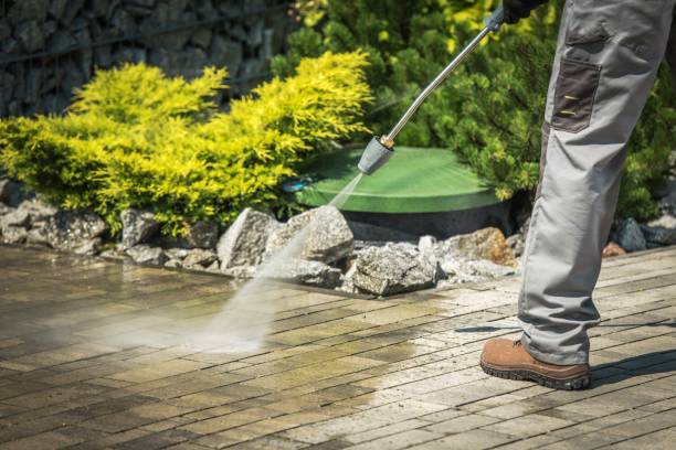 Best Driveway Cleaning and Restoration in Cherry Brah, NC