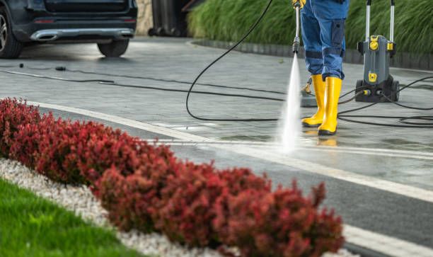 Best Vinyl Siding Pressure Washing in Cherry Brah, NC